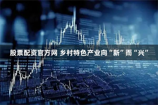 股票配资官方网 乡村特色产业向“新”而“兴”