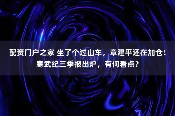 配资门户之家 坐了个过山车，章建平还在加仓！寒武纪三季报出炉，有何看点？