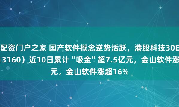 配资门户之家 国产软件概念逆势活跃，港股科技30ETF（513160）近10日累计“吸金”超7.5亿元，金山软件涨超16%
