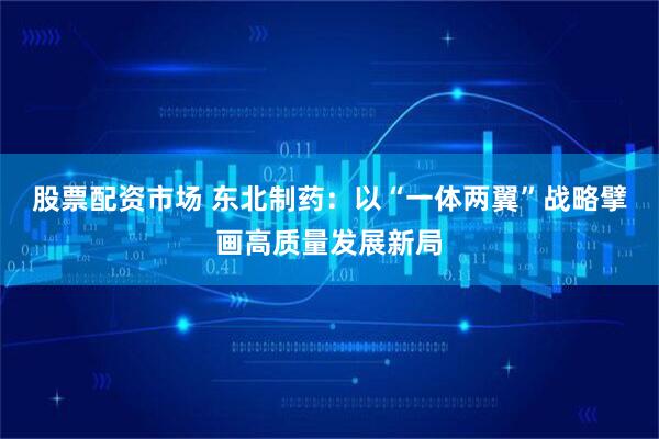 股票配资市场 东北制药:以“一体两翼”战略擘画高质量发展新局